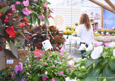 Doorkijkje bij Danziger.